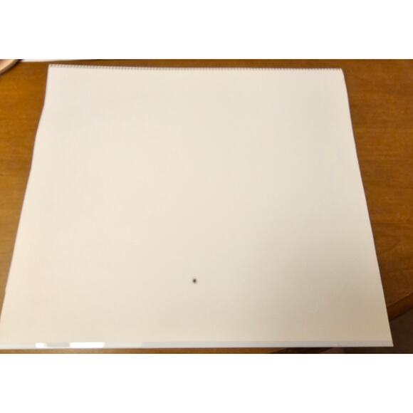 Vintage Remington Dupont Calendar 1990 Hunting and Wildlife Memorabilia - Picture 5 of 5